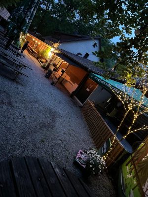 Waldheim_Vesna_Biergarten_Abend