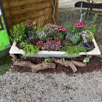 Waldheim_Vesna_Biergarten-Pflanzen