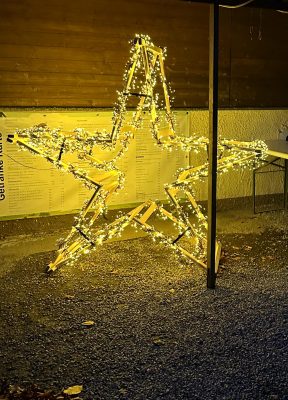 Waldheim_Vesna_Weihnachten_Weihnachten-Stern